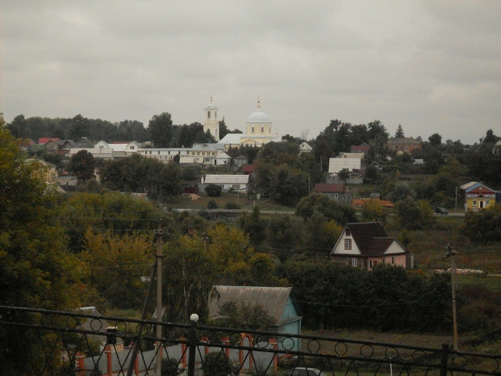 SDC19313.JPG