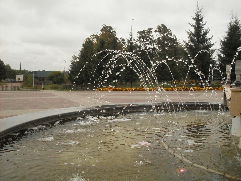 SDC19319.JPG