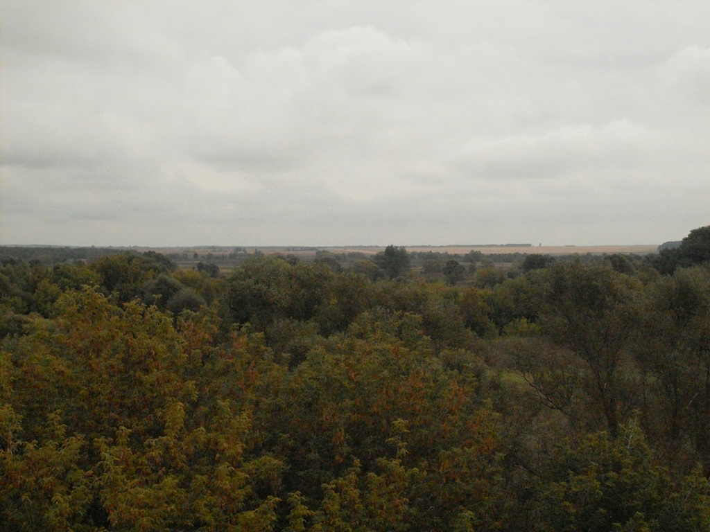 SDC19333.JPG