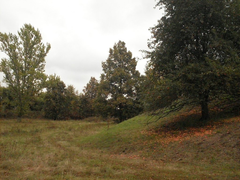 SDC19346.JPG