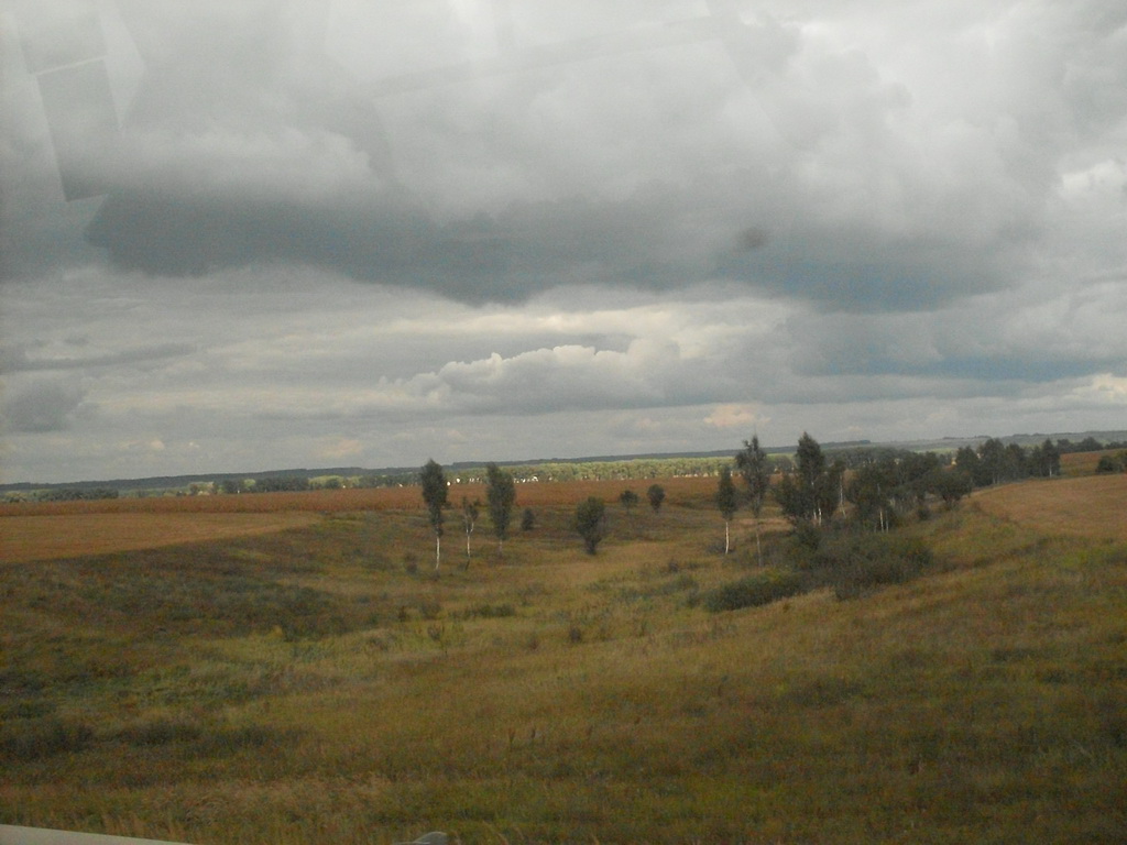 SDC19405.JPG