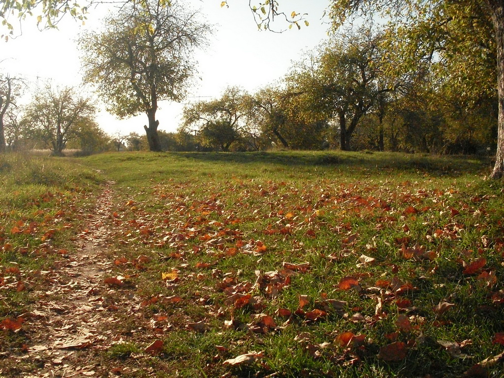 SDC19569_.jpg