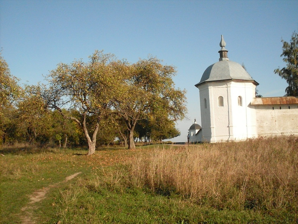 SDC19570_.jpg