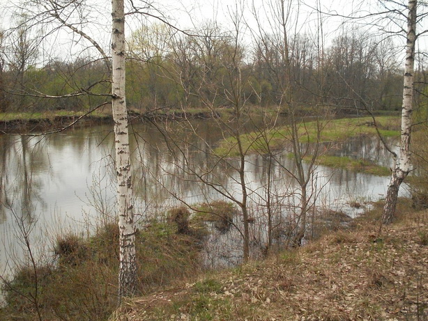 SDC19842_.jpg