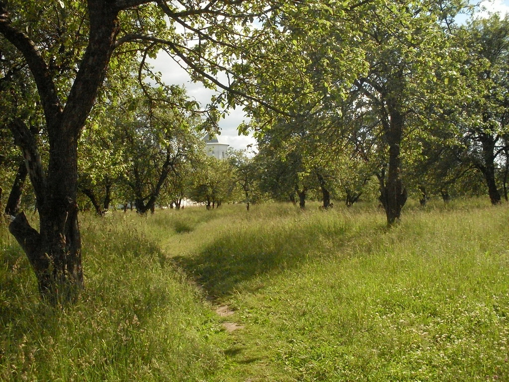 SDC19977_.jpg