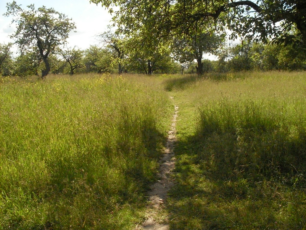 SDC19981_.jpg