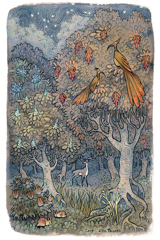 small-secrets-of-the-forest.jpg
