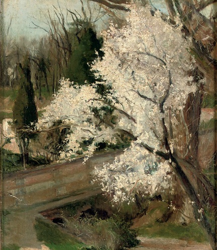 Spring blossom.jpg