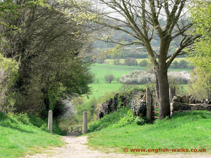 Stonesfield-1.jpg