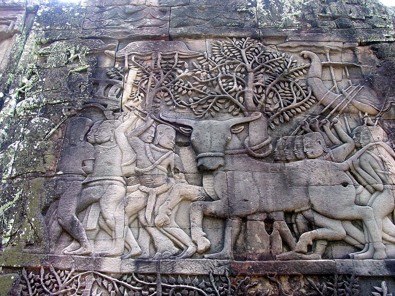 Tethered_Buffalo_Bayon1105.jpg