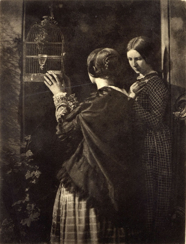 The-Bird-Cage-by-David-Octavius-Hill.jpg