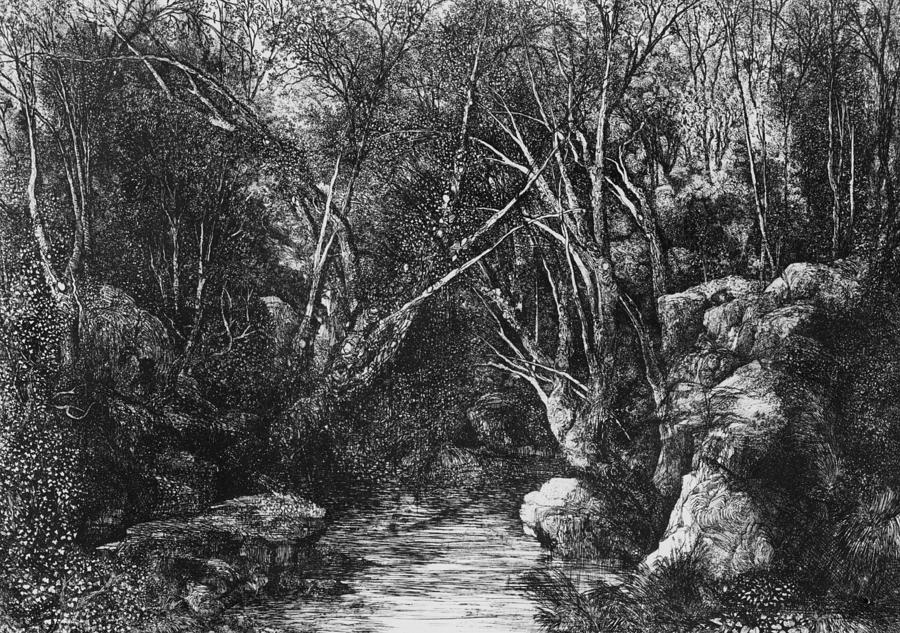 the-stream-through-the-trees-rodolphe-bresdin.jpg