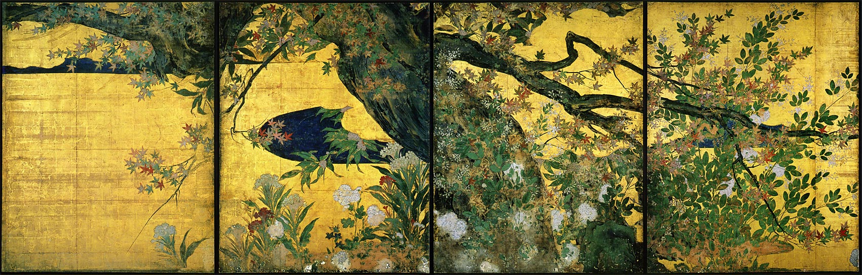 TOHAKU-Maple-plants.jpg