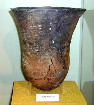 Tulpenbecher-Michelsberg.jpg