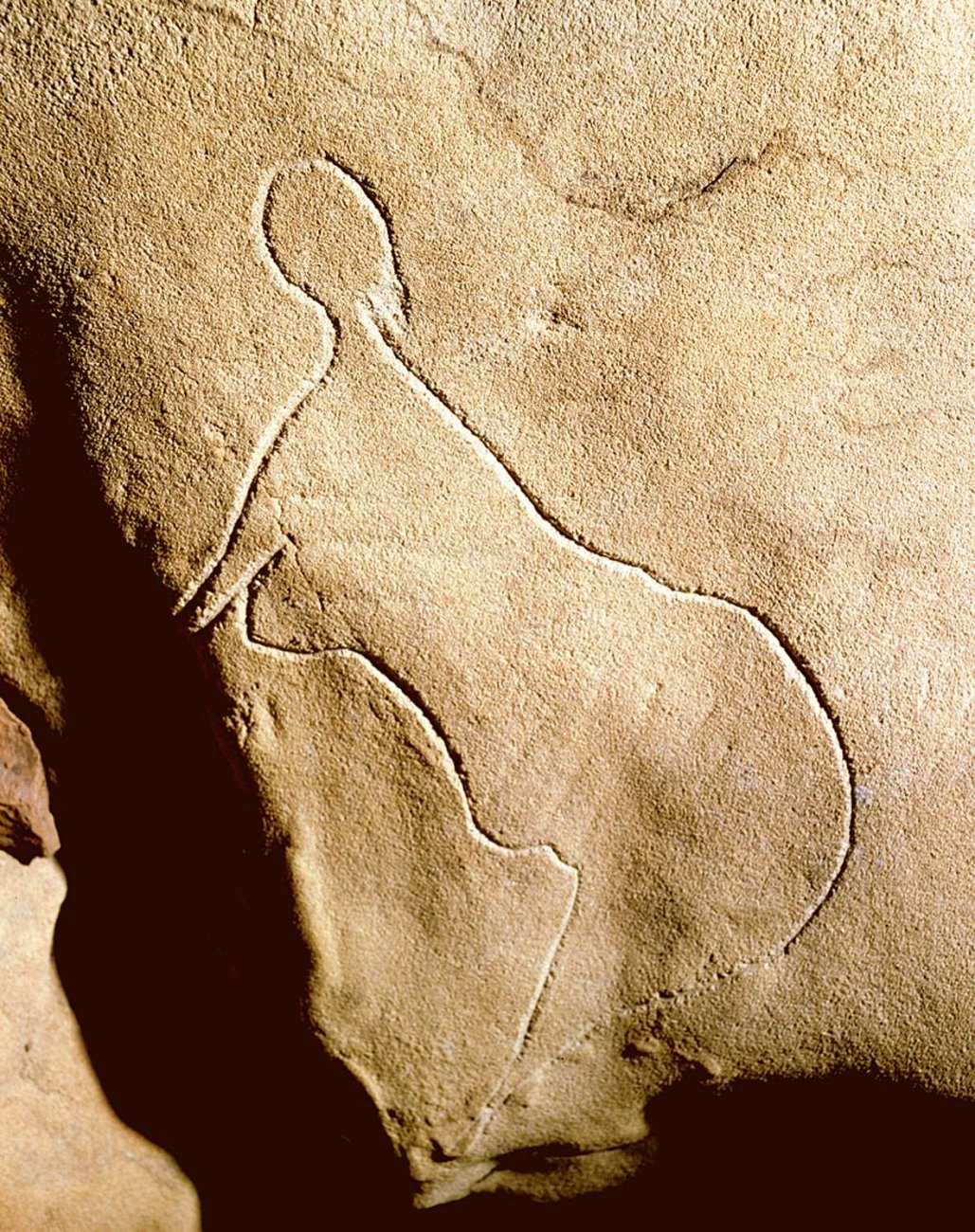 venus cussac2.jpg