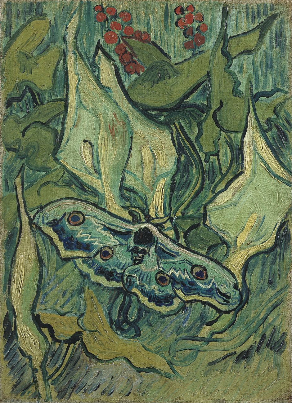 Vincent_van_Gogh_-_Emperor_moth_-_Google_Art_Project.jpg