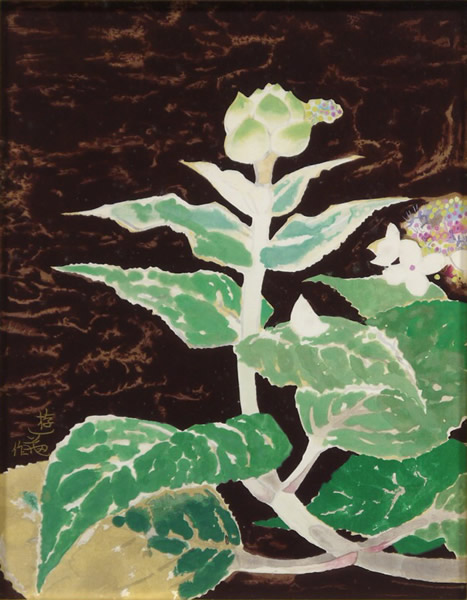 Yuki OGURA22-beginning_of_blooming.jpg