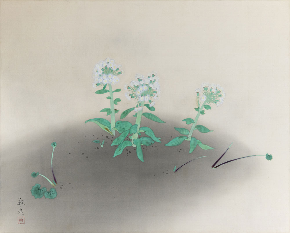 Yukihiko Yasuda192.jpg