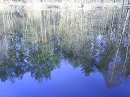 PIC_0024.JPG