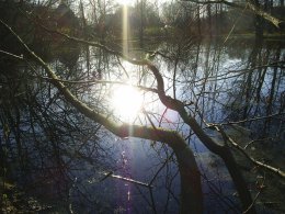 PIC_0034.JPG