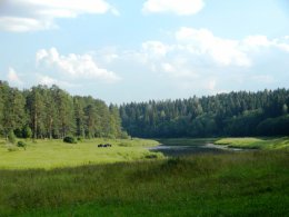 DSCN0027.JPG