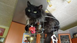 DSC05629.JPG