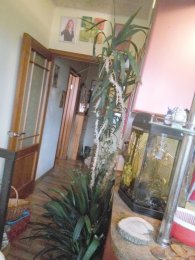 IMG_2017-10-25_114159.jpg