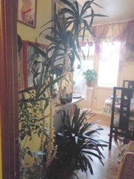 IMG_2017-10-25_114217.jpg