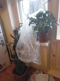 IMG_2017-10-25_114232.jpg