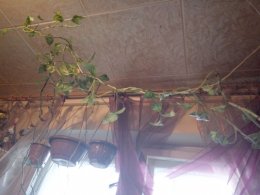 IMG_2017-10-25_114238.jpg