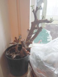 IMG_2017-10-25_114312.jpg