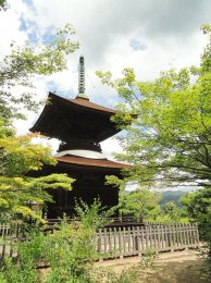Jojakkoji_-_Kyoto_-_DSC06180.JPG