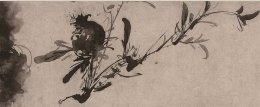Xu_Wei_-_Plantas.jpg